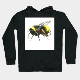 Bumblebee Hoodie